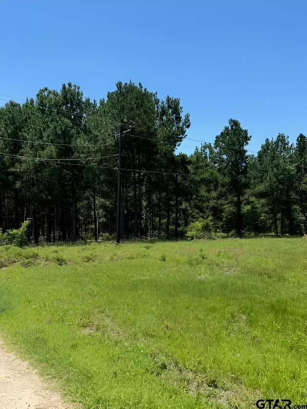 17846 E Farm to Market 346, Troup, TX 75789