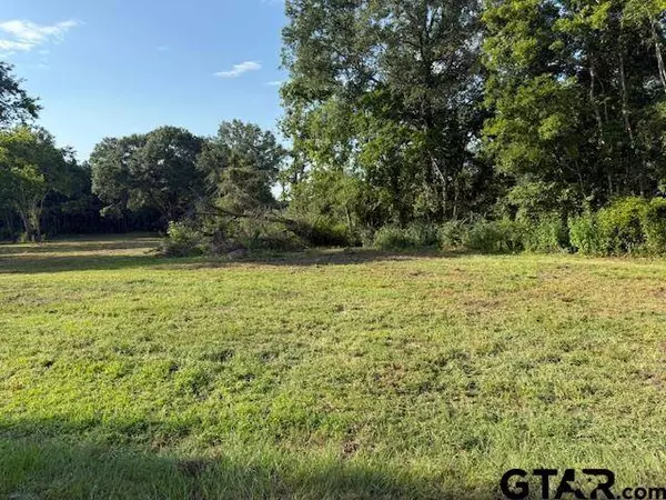 17846 E Farm to Market 346, Troup, TX 75789