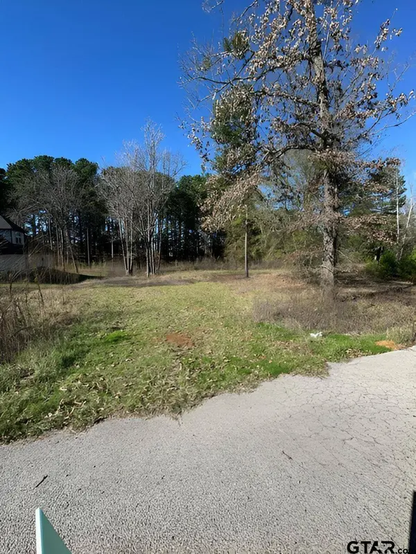 Lot 3 Berrycreek Circle, Frankston, TX 75763