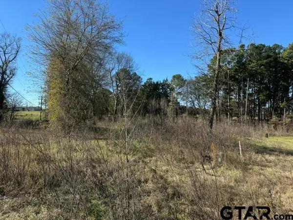 Lot 1 Berrycreek Circle, Frankston, TX 75763