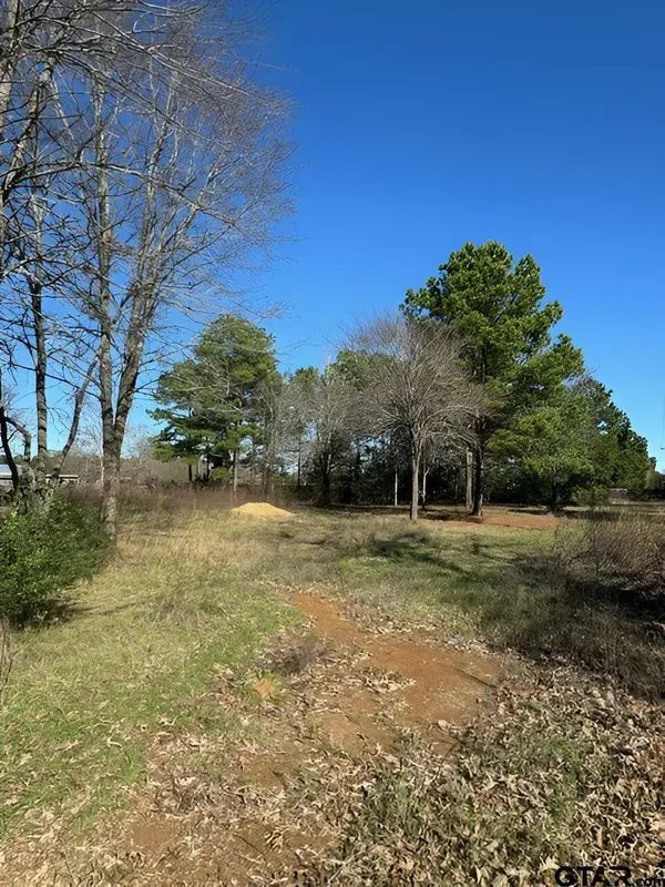 Lot 7 Berrycreek Circle, Frankston, TX 75763