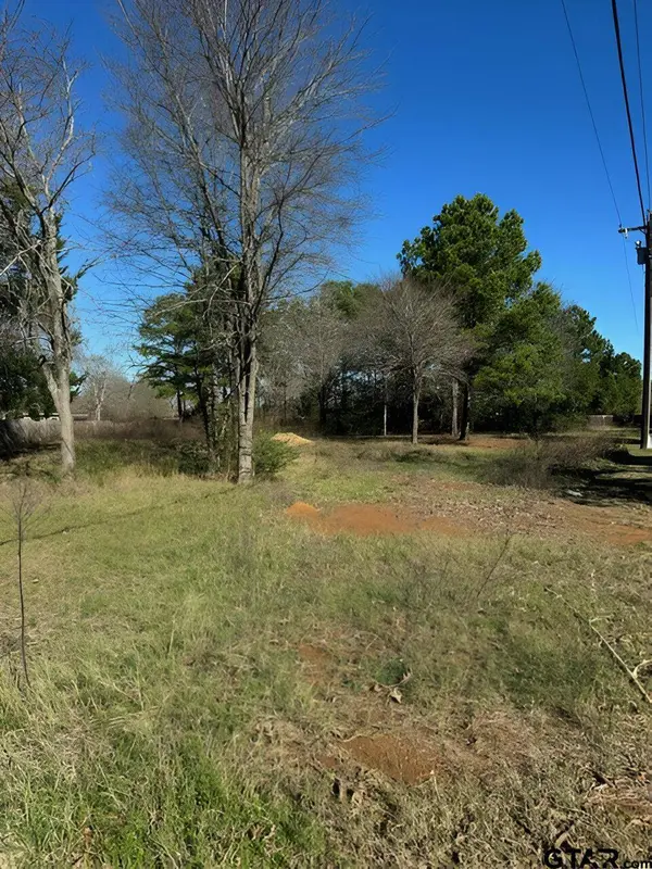 Lot 7 Berrycreek Circle, Frankston, TX 75763