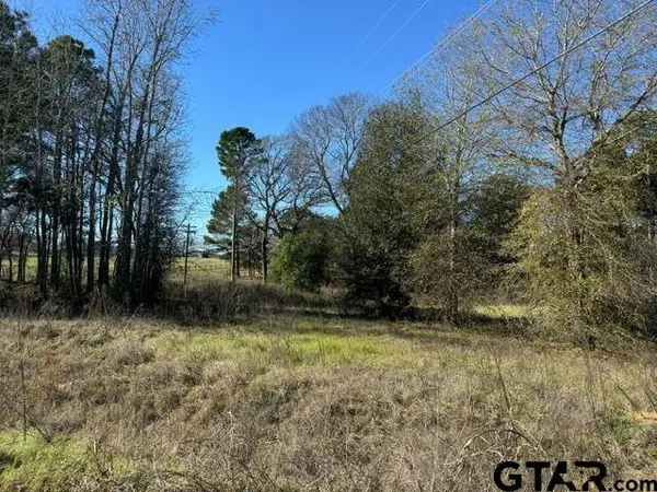 Lot 1 Berrycreek Circle, Frankston, TX 75763