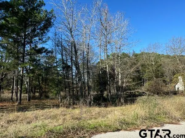 Lot 1 Berrycreek Circle, Frankston, TX 75763
