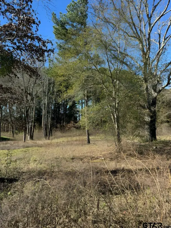 Lot 3 Berrycreek Circle, Frankston, TX 75763