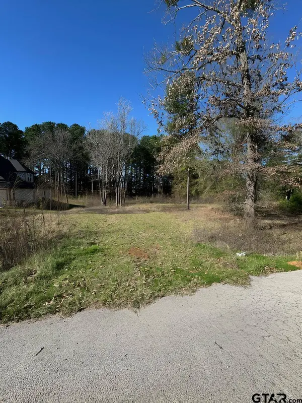 Lot 3 Berrycreek Circle, Frankston, TX 75763