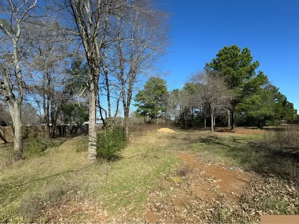 Lot 7 Berrycreek Circle, Frankston, TX 75763