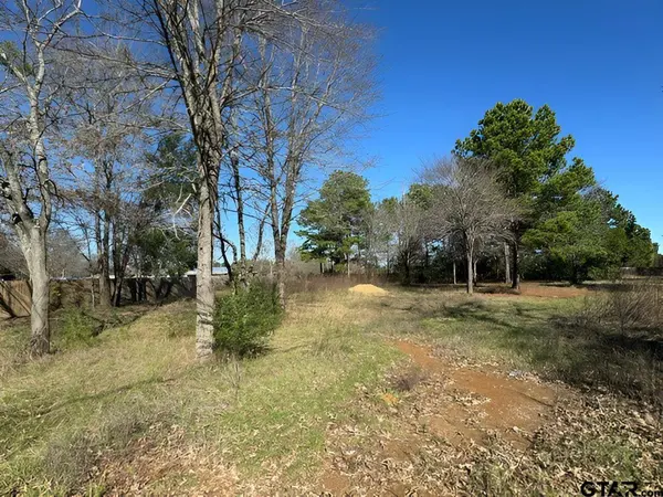 Lot 7 Berrycreek Circle, Frankston, TX 75763