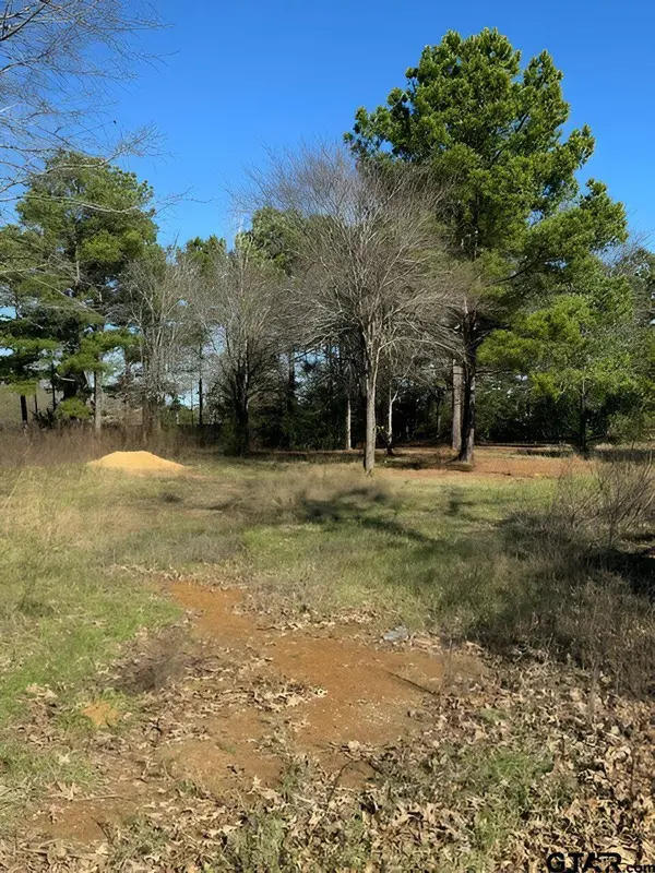 Lot 7 Berrycreek Circle, Frankston, TX 75763
