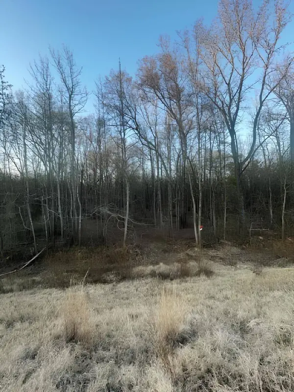 TBD State Highway 135, Troup, TX 75789