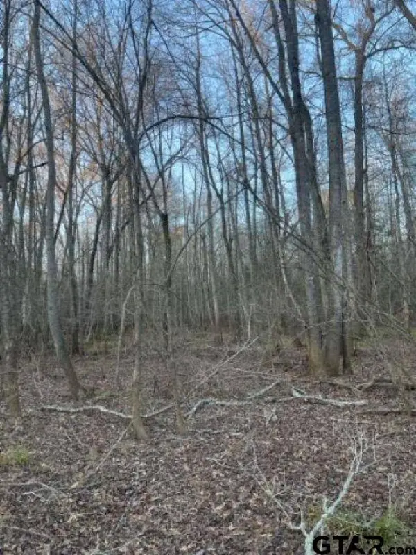 TBD State Highway 135, Troup, TX 75789