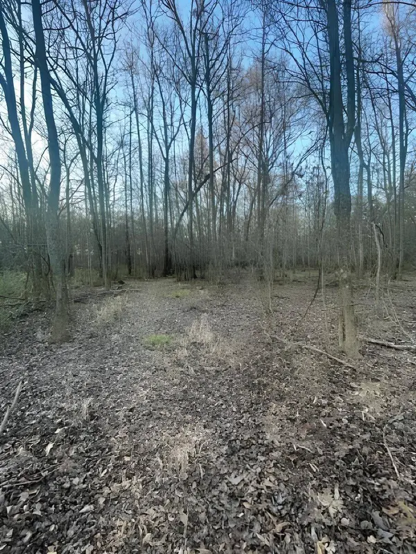 TBD State Highway 135, Troup, TX 75789