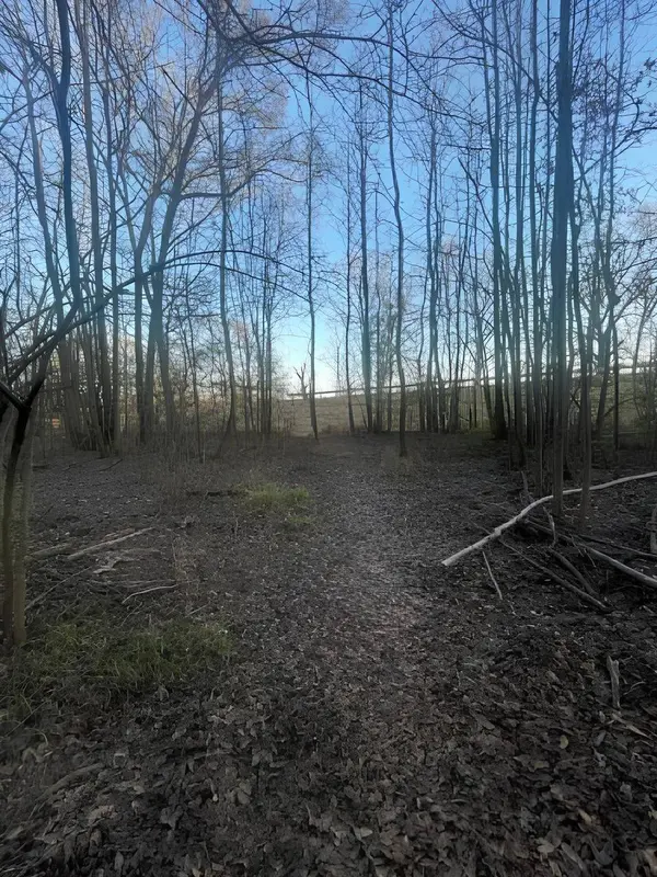 TBD State Highway 135, Troup, TX 75789