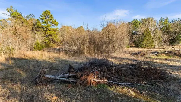 24939 State Highway 64 East, Overton, TX 75684