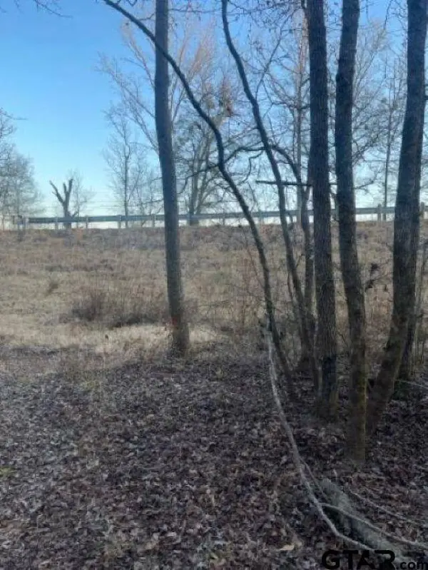 TBD State Highway 135, Troup, TX 75789
