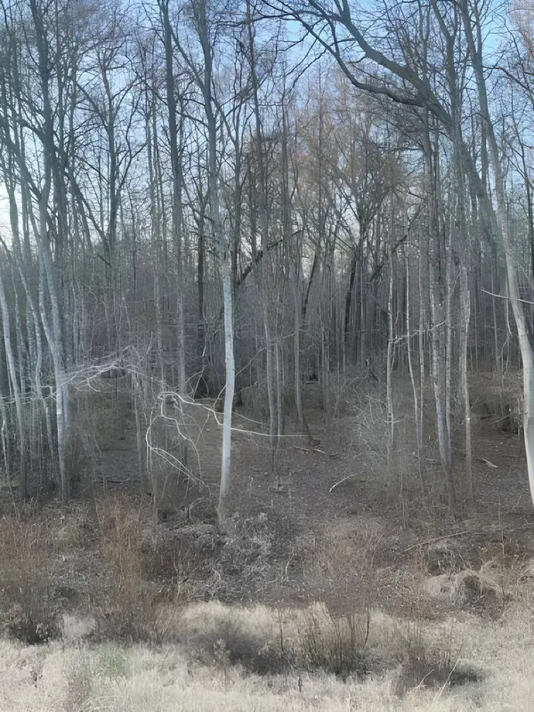 TBD State Highway 135, Troup, TX 75789