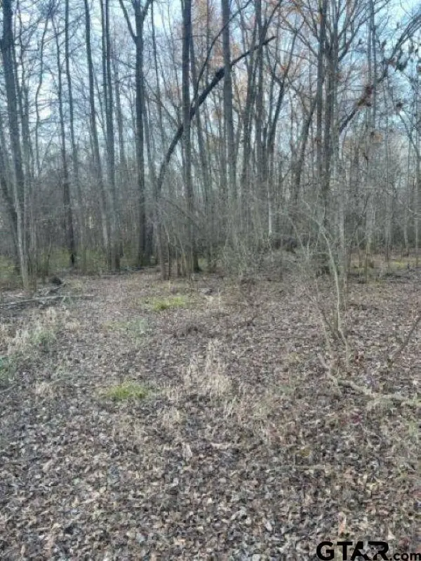 TBD State Highway 135, Troup, TX 75789