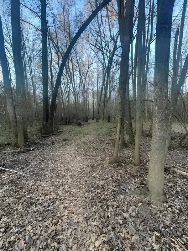 TBD State Highway 135, Troup, TX 75789