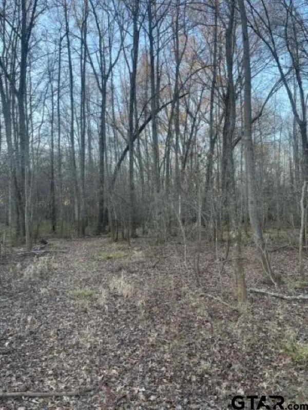 TBD State Highway 135, Troup, TX 75789