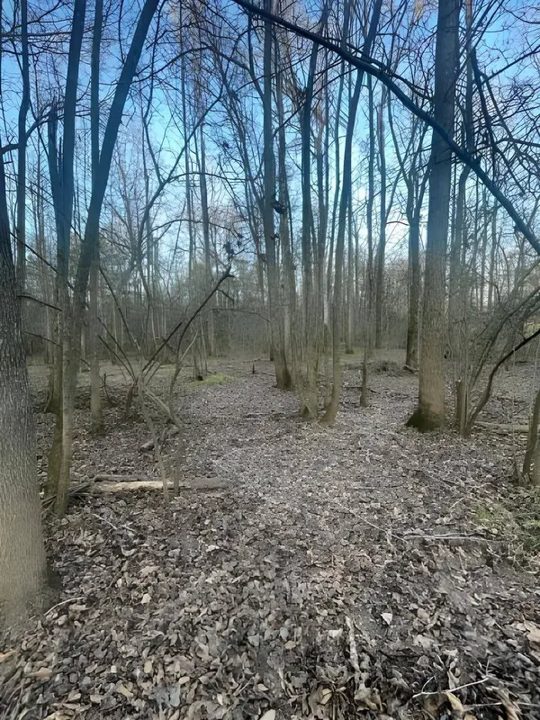 TBD State Highway 135, Troup, TX 75789