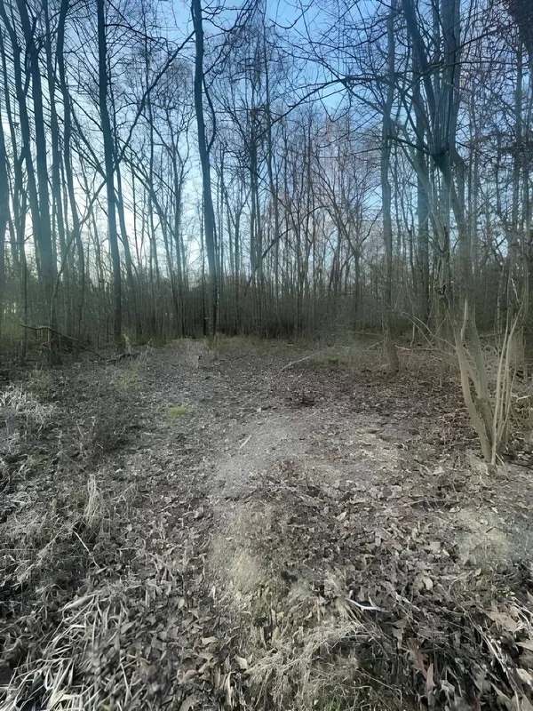 TBD State Highway 135, Troup, TX 75789