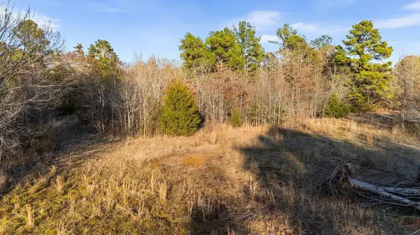 24939 State Highway 64 East, Overton, TX 75684