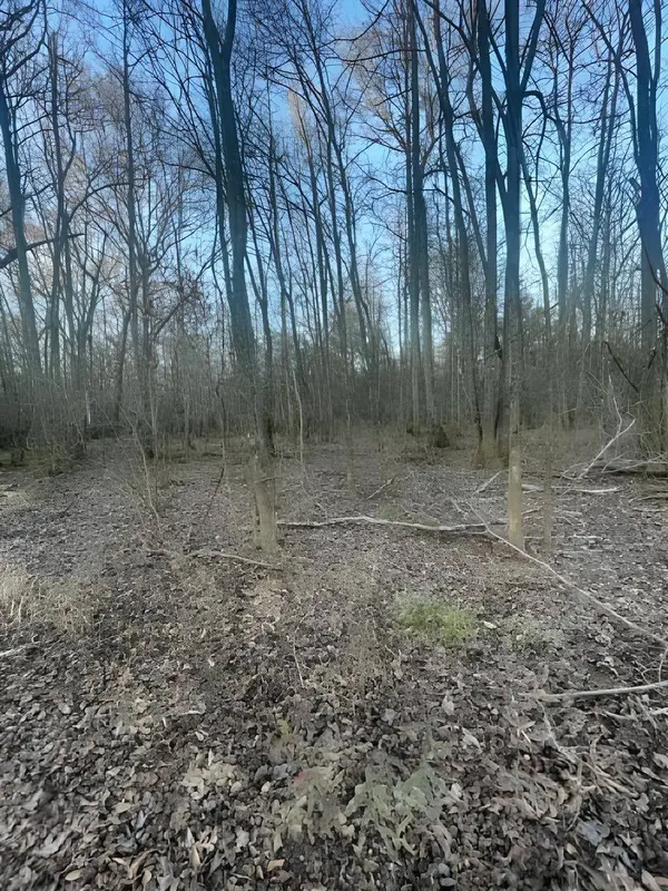 TBD State Highway 135, Troup, TX 75789