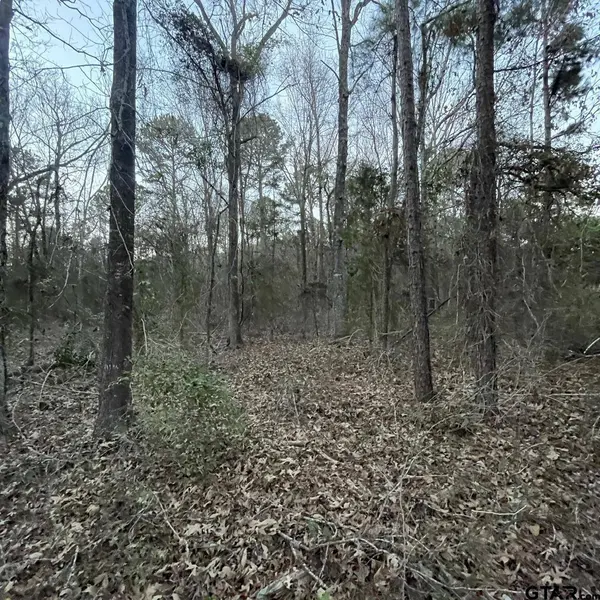 TBD County Road 2182, Whitehouse, TX 75791