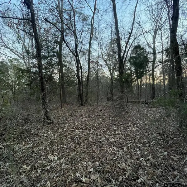 TBD County Road 2182, Whitehouse, TX 75791