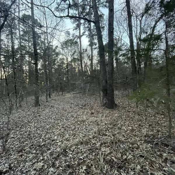 TBD County Road 2182, Whitehouse, TX 75791