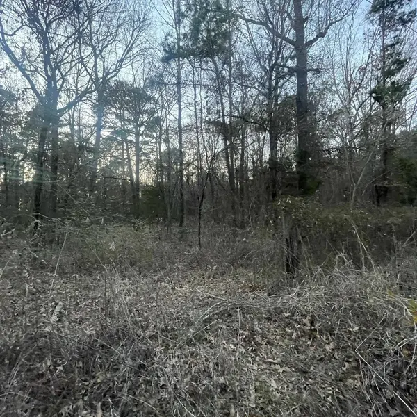 TBD County Road 2182, Whitehouse, TX 75791
