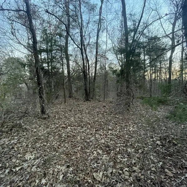 TBD County Road 2182, Whitehouse, TX 75791