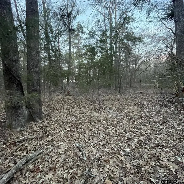 TBD County Road 2182, Whitehouse, TX 75791