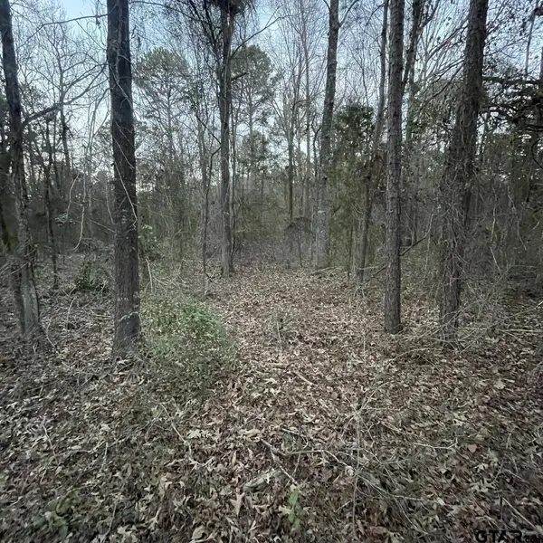 TBD County Road 2182, Whitehouse, TX 75791