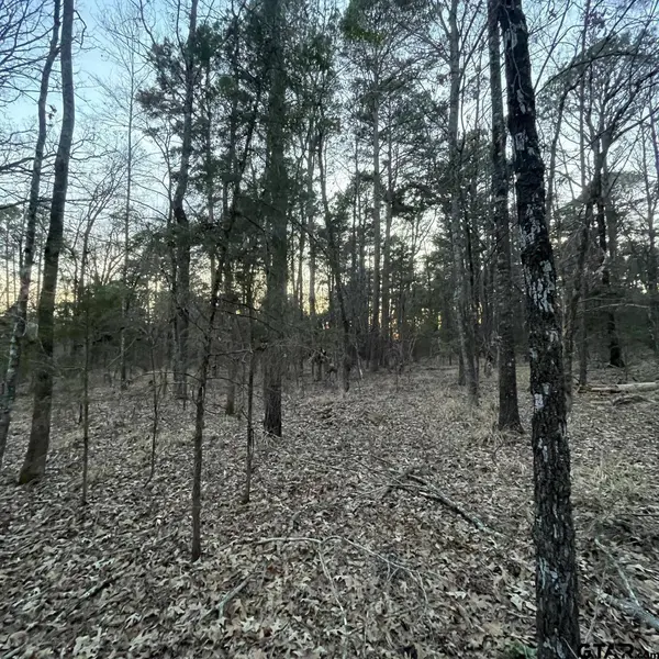 TBD County Road 2182, Whitehouse, TX 75791