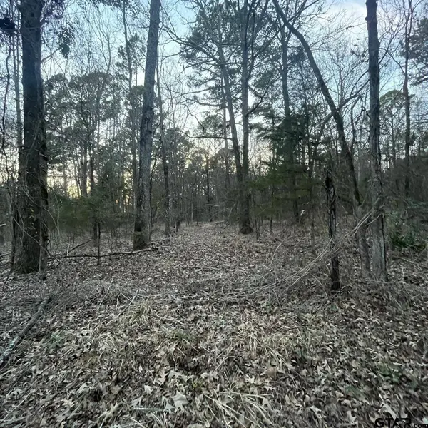 TBD County Road 2182, Whitehouse, TX 75791