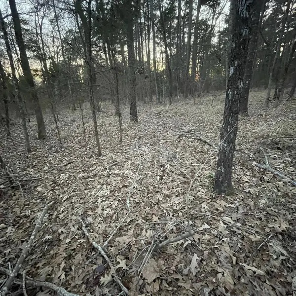 TBD County Road 2182, Whitehouse, TX 75791