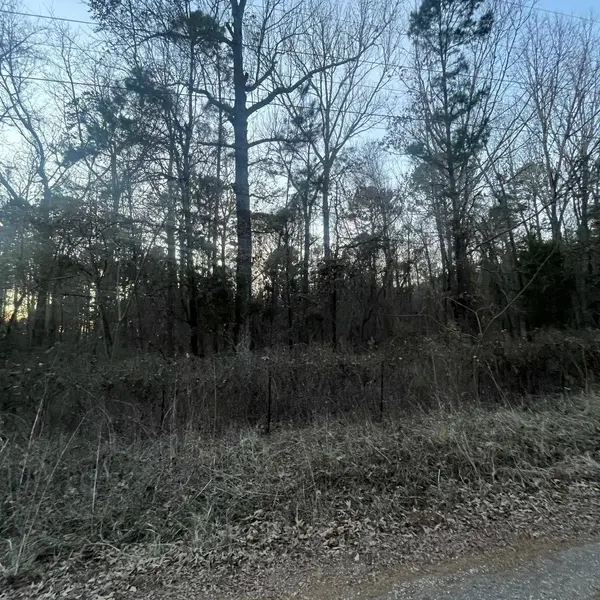 TBD County Road 2182, Whitehouse, TX 75791