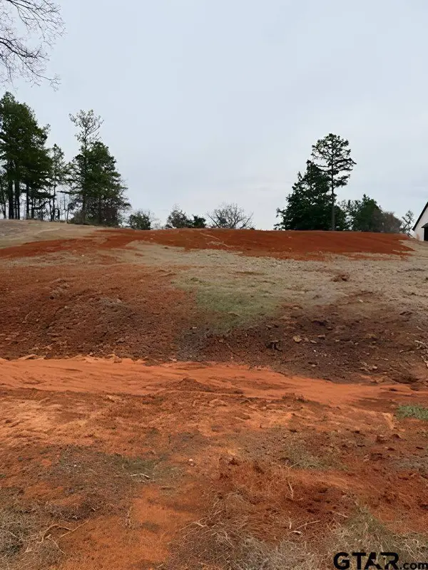 10433 County Road 1111, Tyler, TX 75704