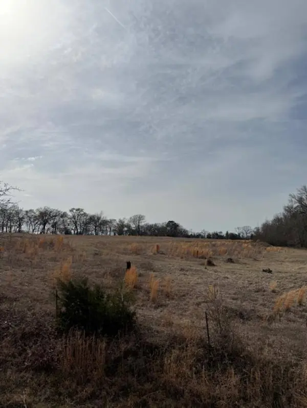 TBD County Road 4619, Troup, TX 75789