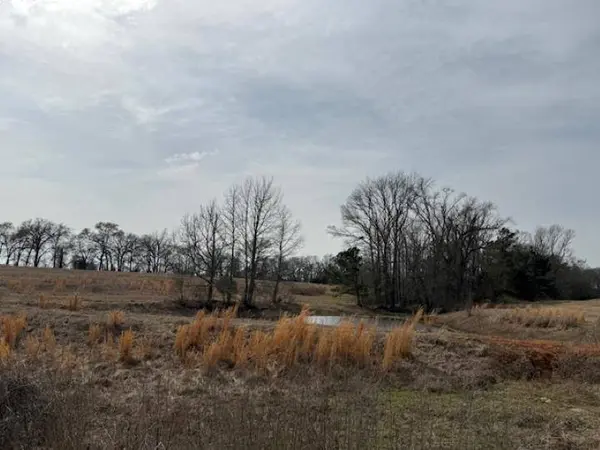 TBD County Road 4619, Troup, TX 75789