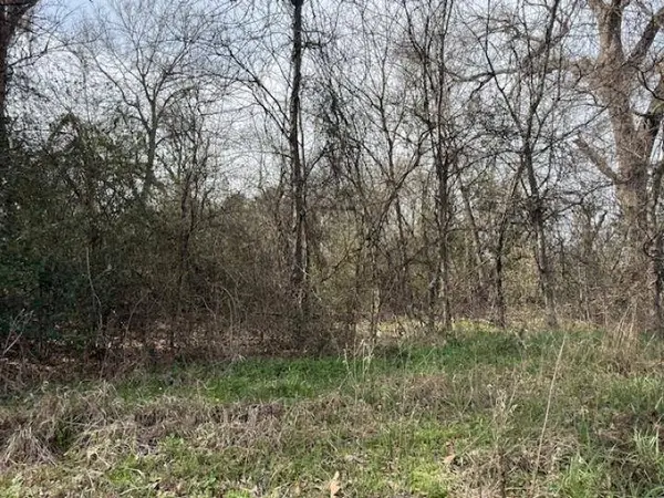 107 Hutto Street, Troup, TX 75789