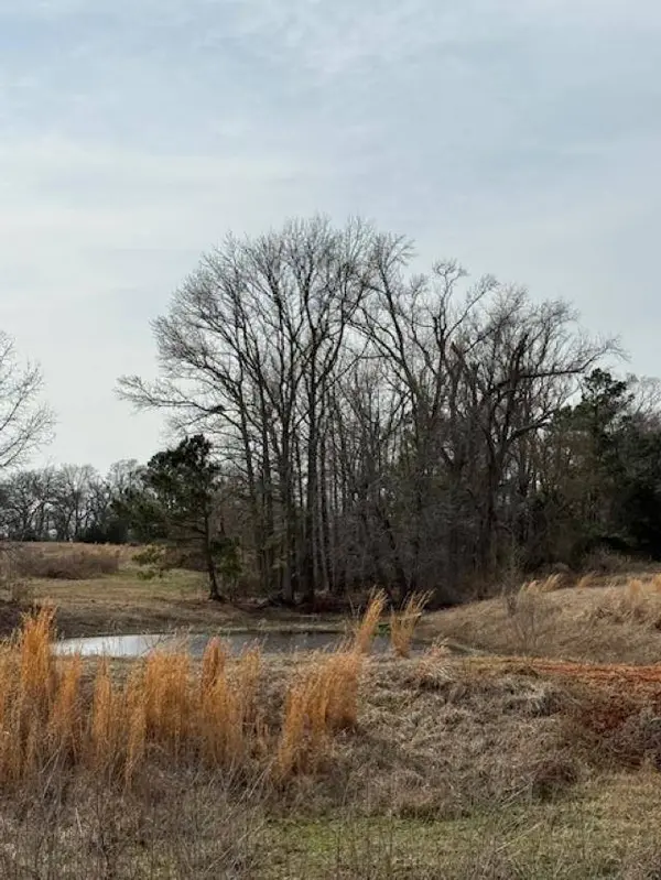 TBD County Road 4619, Troup, TX 75789