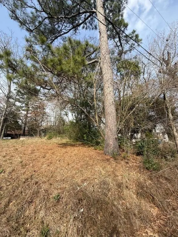 TBD W Paschal Street, Troup, TX 75789