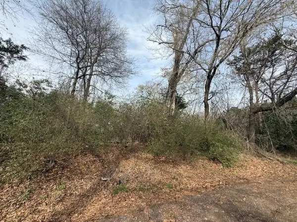 107 Hutto Street, Troup, TX 75789