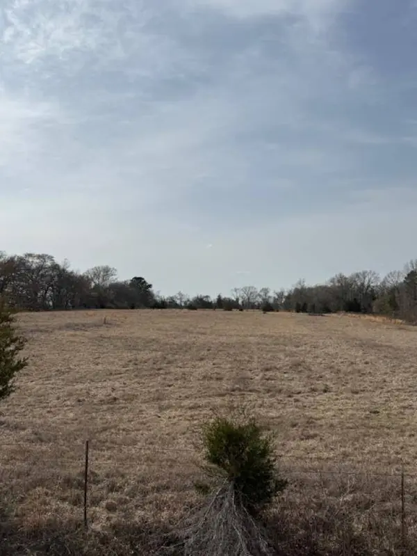 TBD County Road 4619, Troup, TX 75789