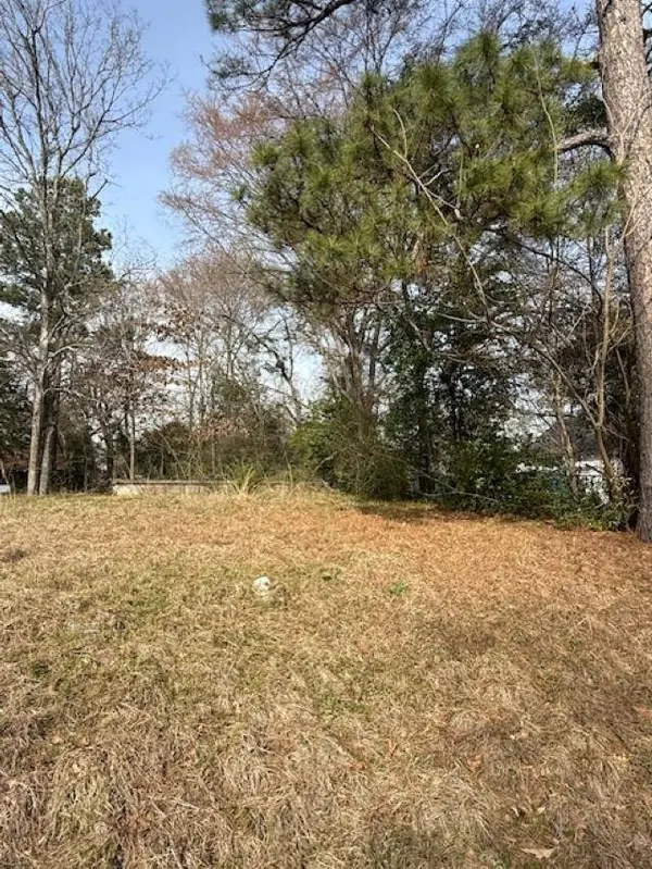 TBD W Paschal Street, Troup, TX 75789