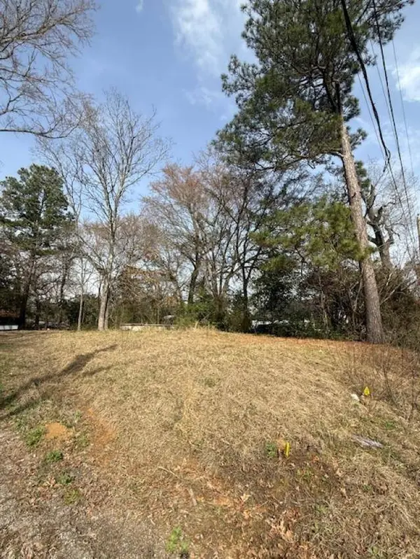 TBD W Paschal Street, Troup, TX 75789