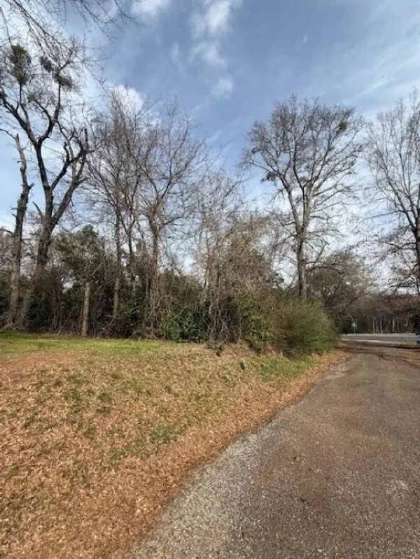 107 Hutto Street, Troup, TX 75789