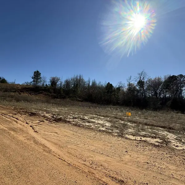 TBD County Road 431, Lindale, TX 75771